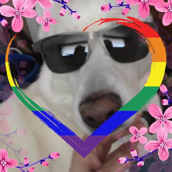 Meet your Posher, Susan - Picture 1 of 1